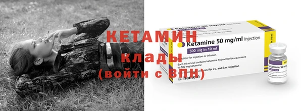 спиды Новозыбков
