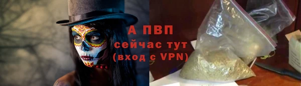 крисы Магадан