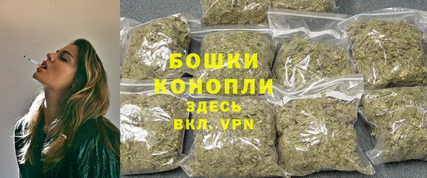 крисы Магадан