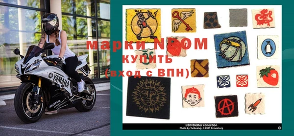 крисы Магадан
