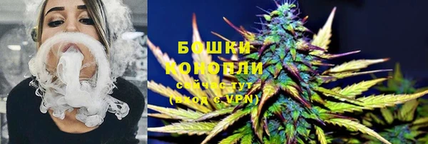 крисы Магадан